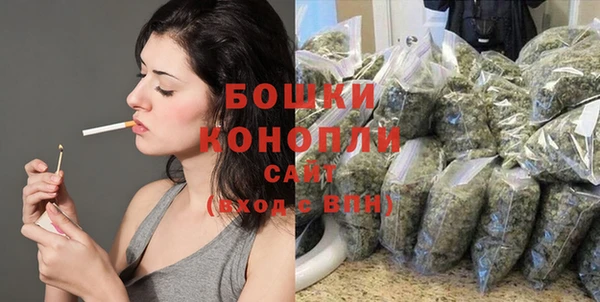 стаф Новозыбков
